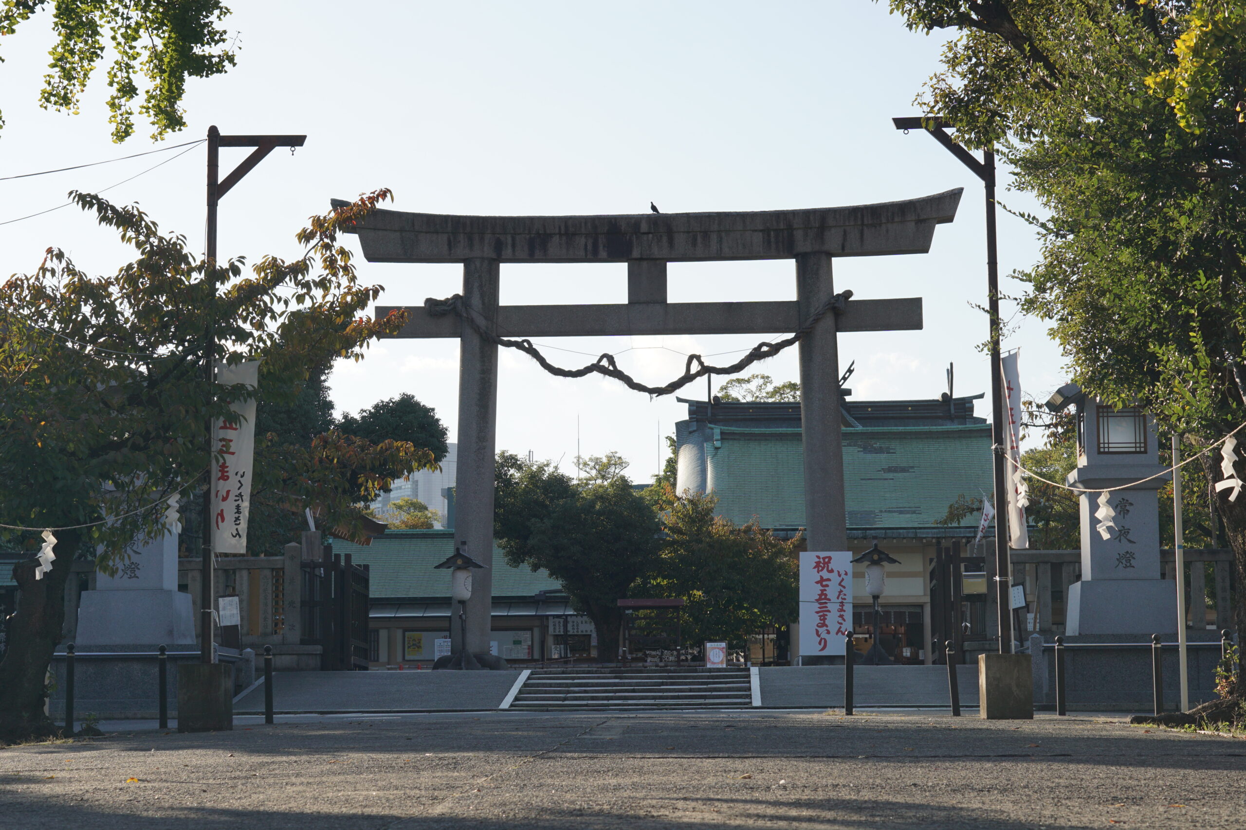 鳥居・拝殿・御本殿屋根